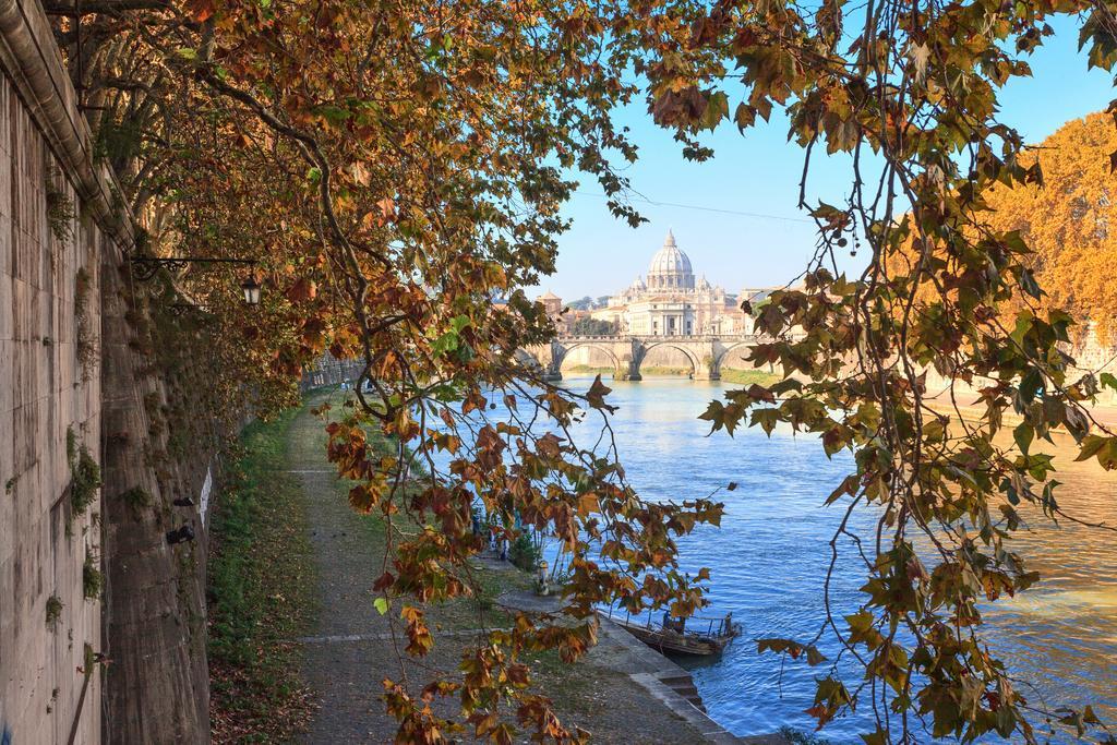 Vatican Domus — Photos 2